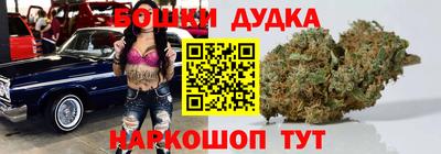 индика Кинель