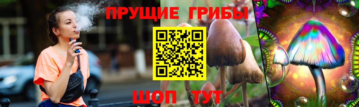 Галлюциногенные грибы GOLDEN TEACHER Сарапул